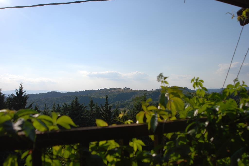 Il Tamantino Gubbio Quarto foto